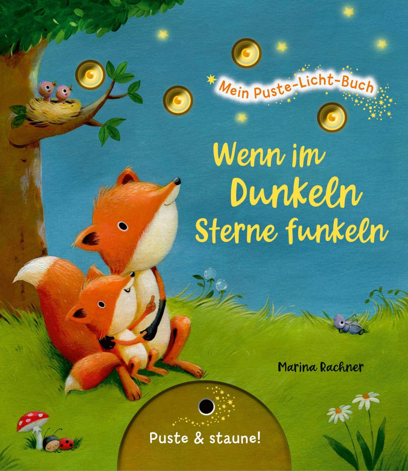 Mein Puste-Licht-Buch: Wenn im Dunkeln Sterne funkeln