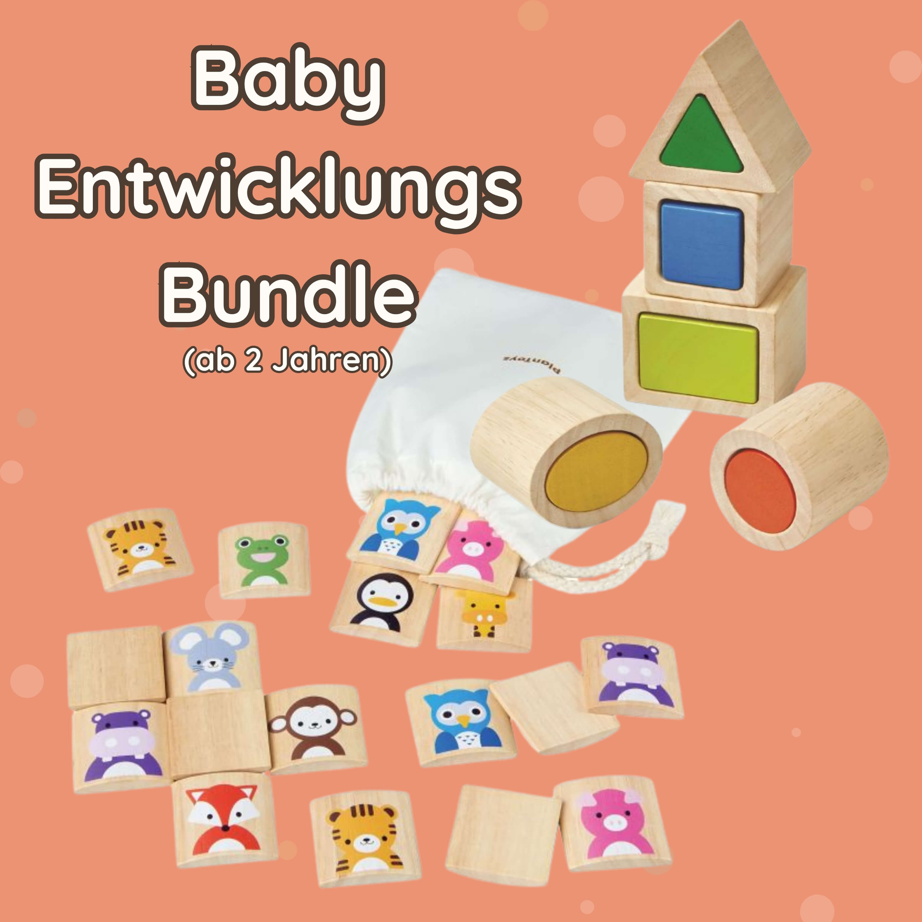 Baby Entwicklungs Bundle Plantoys ab 2 Jahren